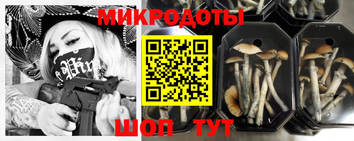 Псилоцибиновые грибы Psilocybine cubensis  Вход с VPN  Галлюциногенные грибы MAGIC MUSHROOMS  что такое   Апатиты 