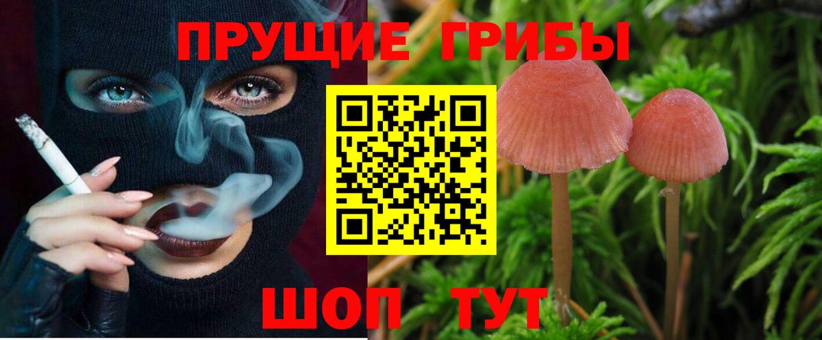 LSD-25  КОКАИН  MDMA  Бошки Шишки  Вход с VPN  Мефедрон кристаллы  Наркошоп  Апатиты  APVP СК   ГАШИШ 